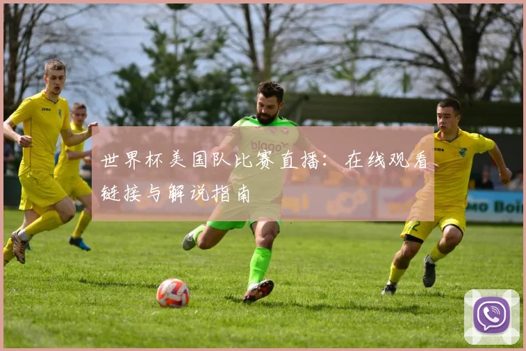 世界杯美国队比赛直播:在线观看链接与解说指南